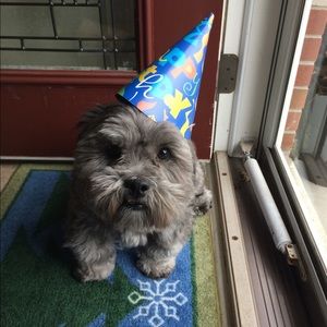 Meet your Posher, Thomas